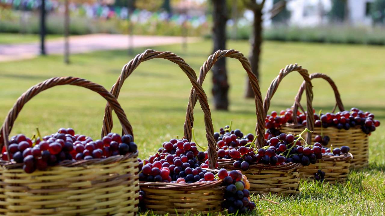 Yeni Proje (1)_152e935b4e6f09e25236b14409ec24e9.jpg